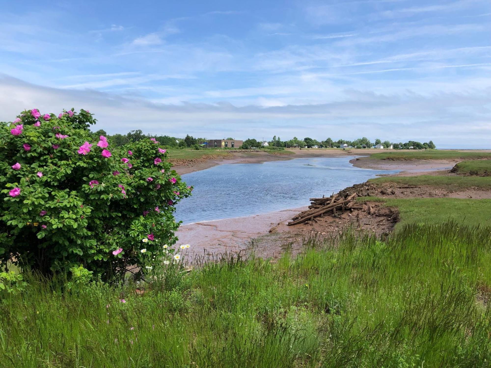 Pleasant Street Inn Parrsboro Dış mekan fotoğraf